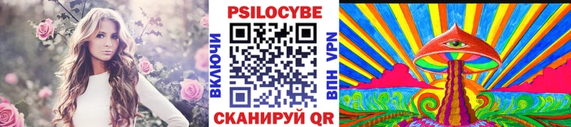 Галлюциногенные грибы Psilocybe  Шилка 